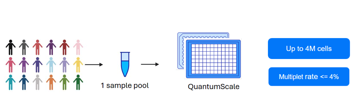 Multiplet rates explained: What every scRNA-seq researcher should know