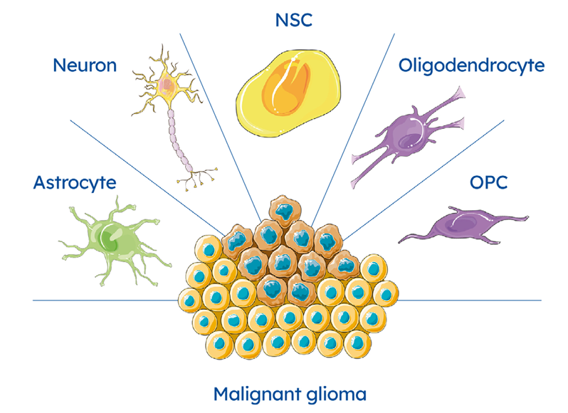 methyl ebook image